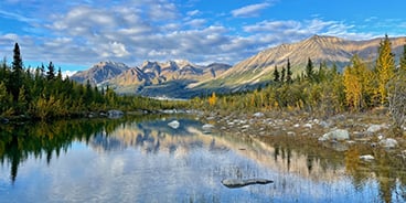 Alaska Cruise Turları