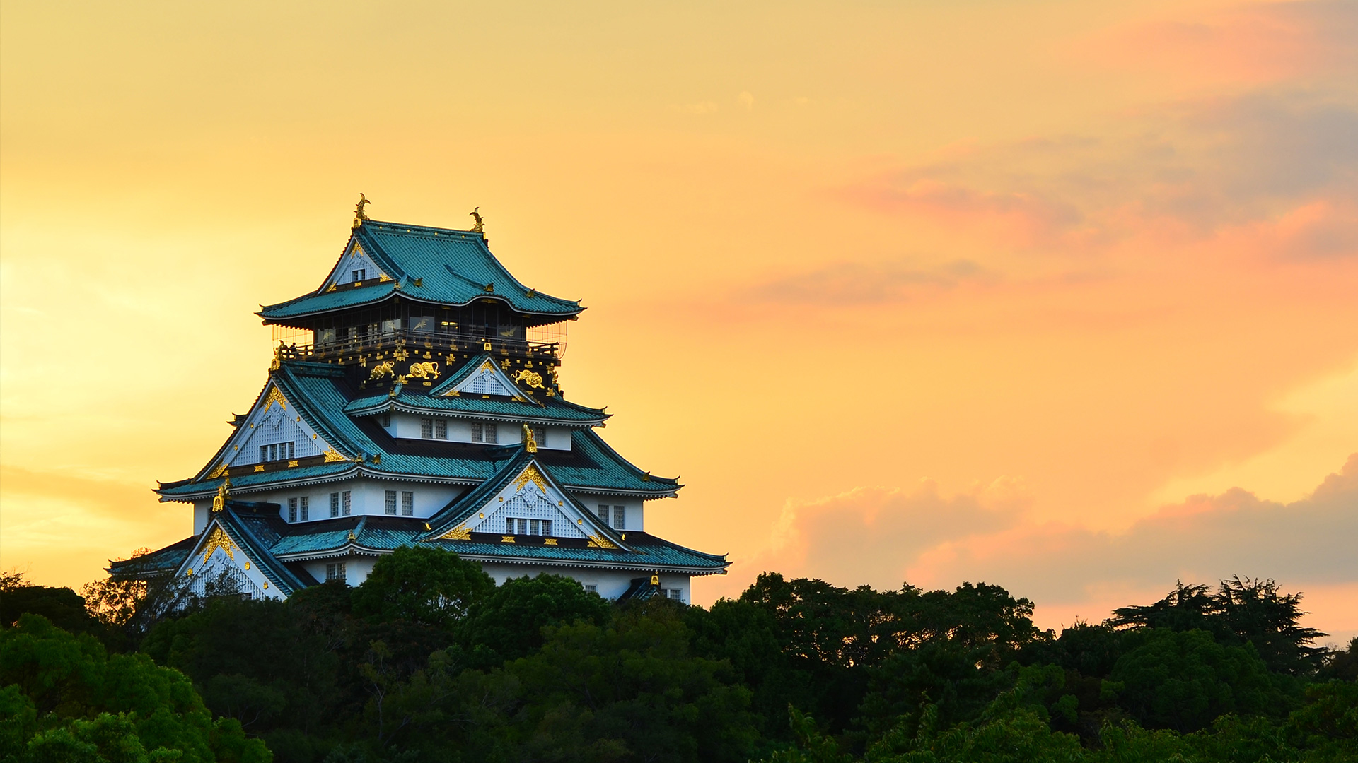 Türk Hava Yolları ile Japonya'nın Gizli Hazineleri 7 Gece 9 Gün | Kış |