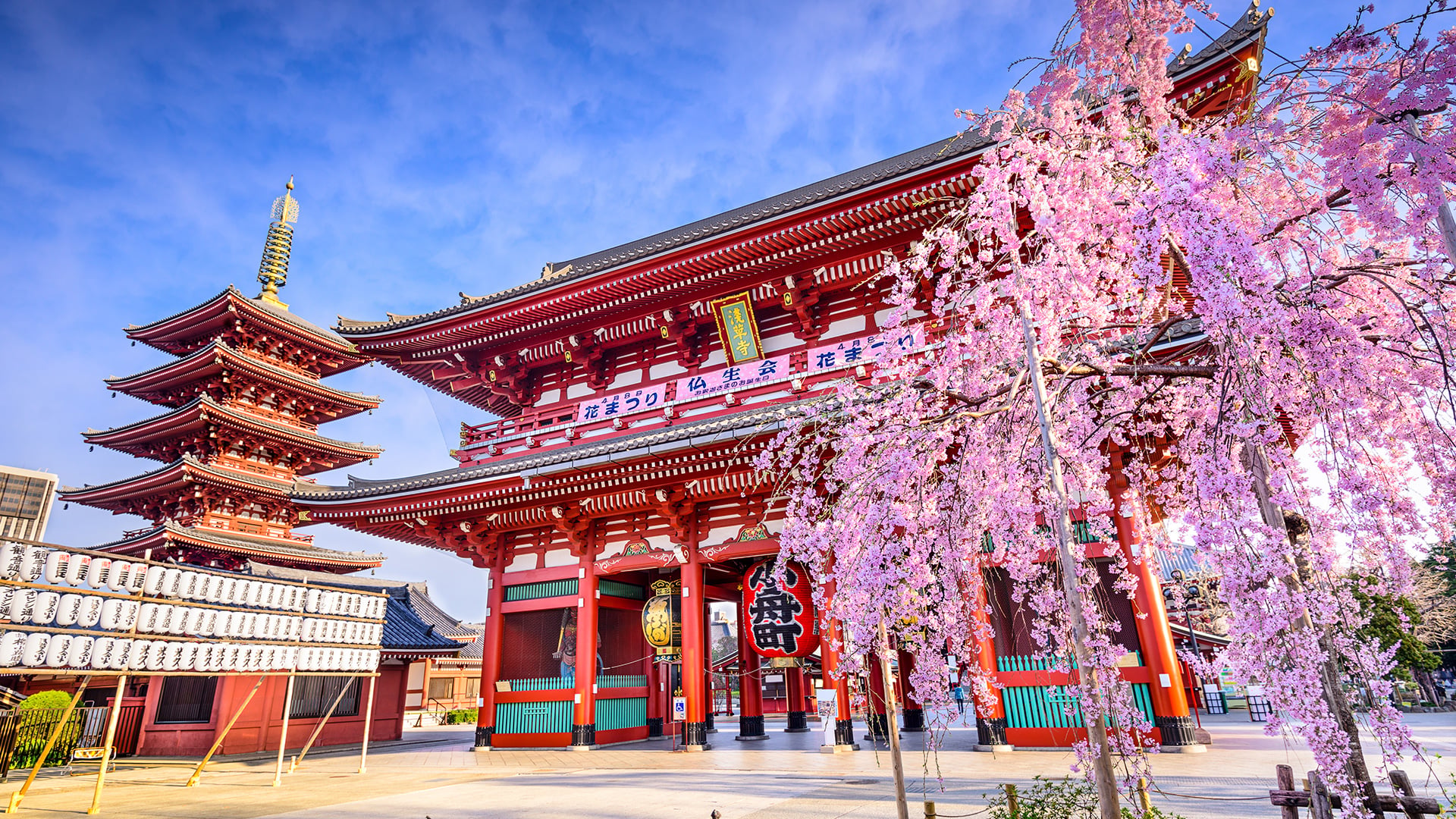 Türk Hava Yolları ile Uzak Doğu’nun Güneşi Japonya 6 Gece 8 Gün | Osaka Başlangıçlı | 