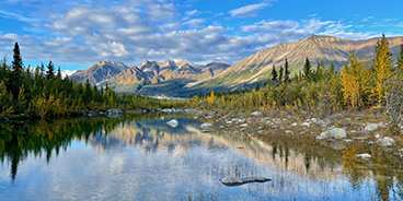 Alaska Cruise Turları